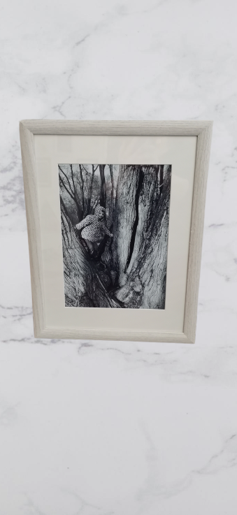 Fotografske storitve