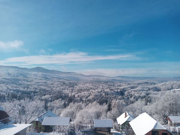 Spletna stran-tipi-top.si